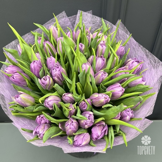 Букет из 55 сиреневых пионовидных тюльпанов