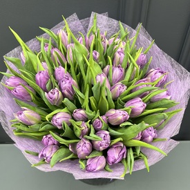 Букет из 55 сиреневых пионовидных тюльпанов