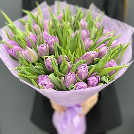 Букет из 55 сиреневых пионовидных тюльпанов