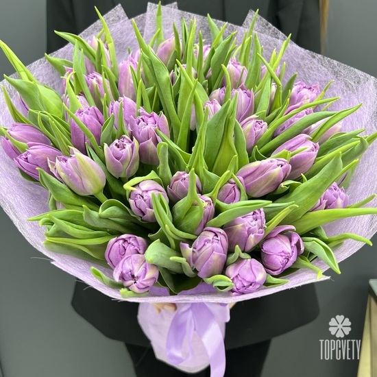 Букет из 55 сиреневых пионовидных тюльпанов