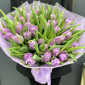 Букет из 55 сиреневых пионовидных тюльпанов
