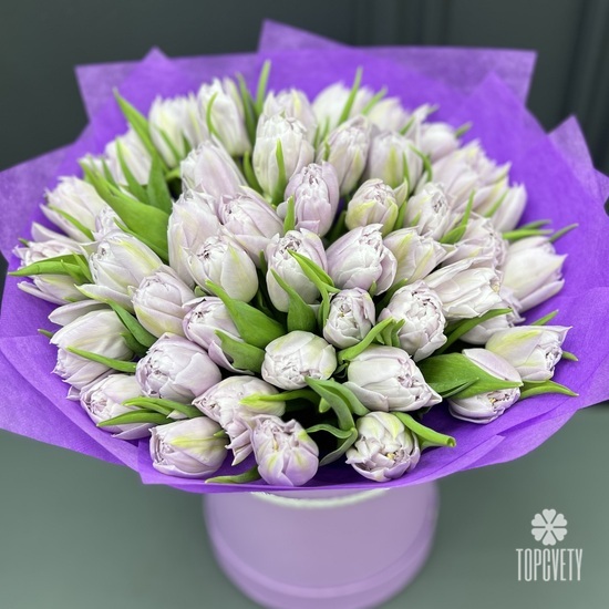 Букет из 45 сиреневых пионовидных тюльпанов в шляпной коробке