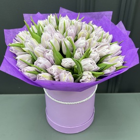 Букет из 45 сиреневых пионовидных тюльпанов в шляпной коробке