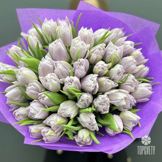 Букет из 45 сиреневых пионовидных тюльпанов