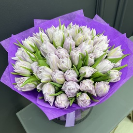 Букет из 45 сиреневых пионовидных тюльпанов