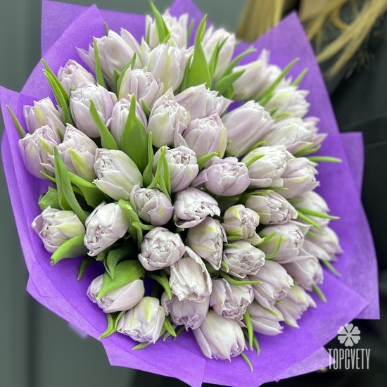 Букет из 45 сиреневых пионовидных тюльпанов