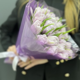 Букет из 25 сиреневых пионовидных тюльпанов