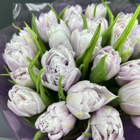 Букет из 25 сиреневых пионовидных тюльпанов