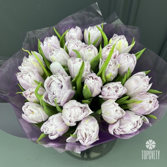 Букет из 25 сиреневых пионовидных тюльпанов