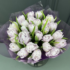 Букет из 25 сиреневых пионовидных тюльпанов