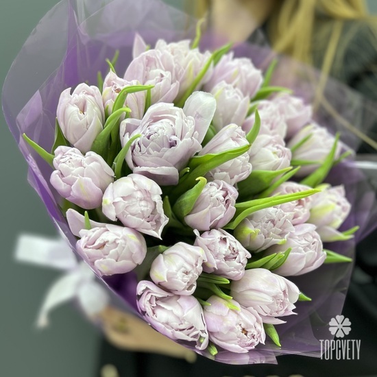 Букет из 25 сиреневых пионовидных тюльпанов