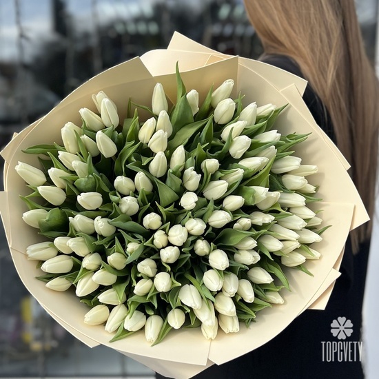 Букет из 151 белого тюльпана