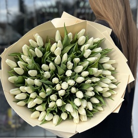 Букет из 151 белого тюльпана
