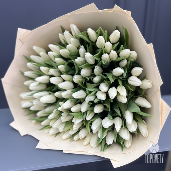 Букет из 151 белого тюльпана