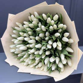 Букет из 151 белого тюльпана