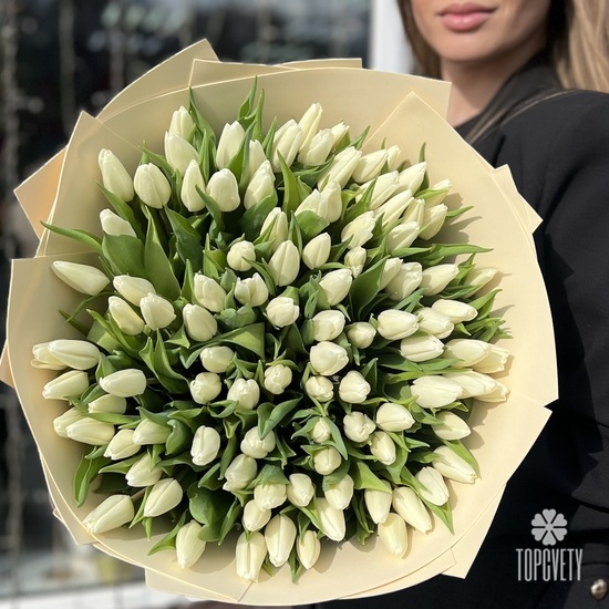 Букет из 151 белого тюльпана