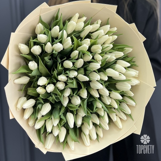Букет из 151 белого тюльпана