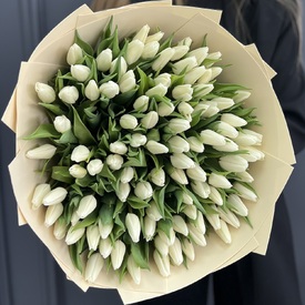 Букет из 151 белого тюльпана