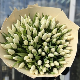 Букет из 151 белого тюльпана
