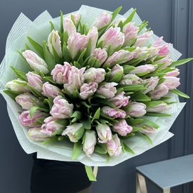 Букет из 51 розового пионовидного тюльпана