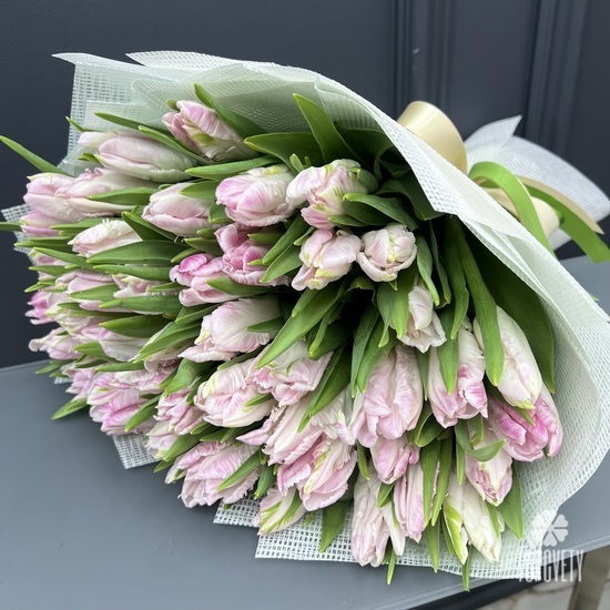 Букет из 51 розового пионовидного тюльпана
