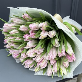 Букет из 51 розового пионовидного тюльпана