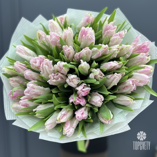 Букет из 51 розового пионовидного тюльпана