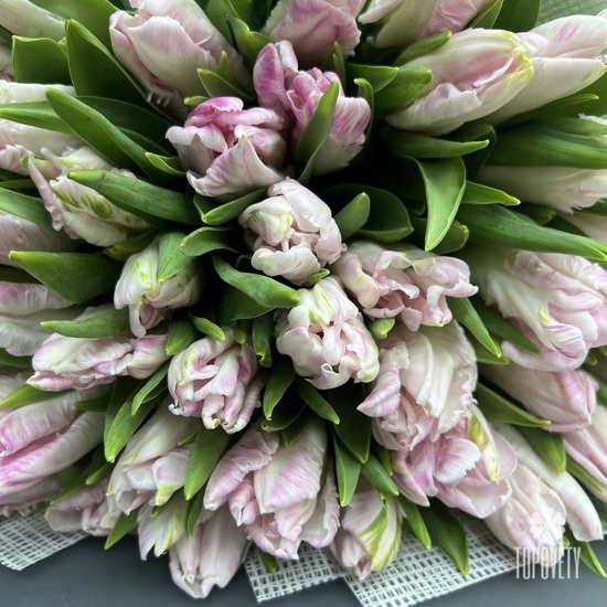 Букет из 51 розового пионовидного тюльпана