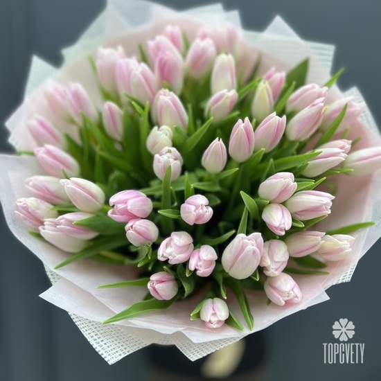 Букет из 51 розового тюльпана