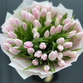Букет из 51 розового тюльпана