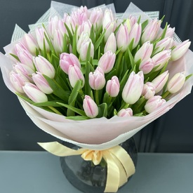 Букет из 51 розового тюльпана