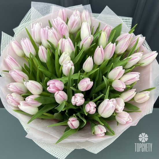 Букет из 51 розового тюльпана