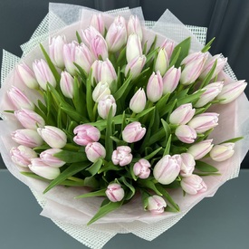 Букет из 51 розового тюльпана