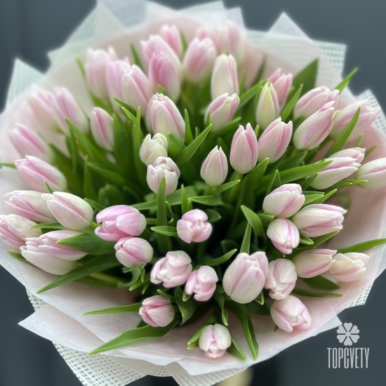 Букет из 51 розового тюльпана