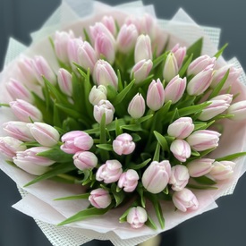 Букет из 51 розового тюльпана