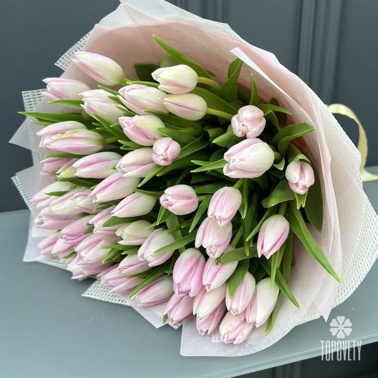 Букет из 51 розового тюльпана
