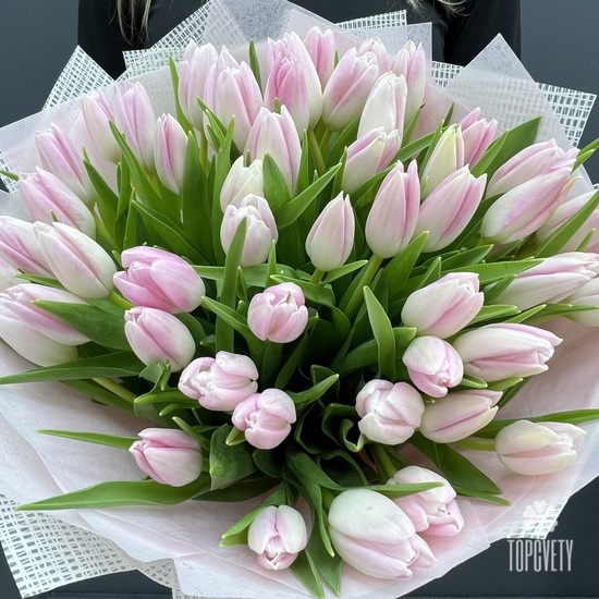 Букет из 51 розового тюльпана