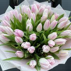 Букет из 51 розового тюльпана