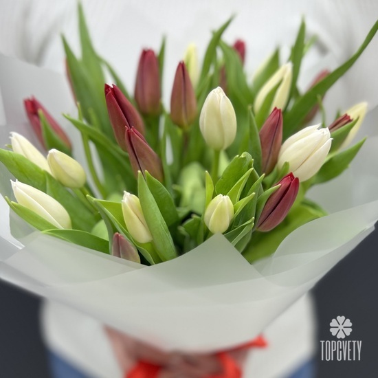 Букет из 25  белых и красных тюльпанов