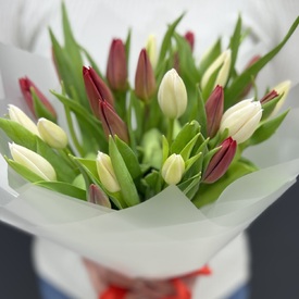 Букет из 25  белых и красных тюльпанов