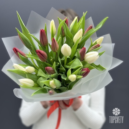 Букет из 25  белых и красных тюльпанов