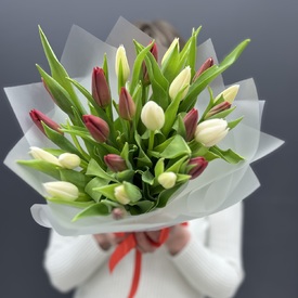 Букет из 25  белых и красных тюльпанов