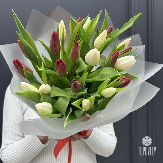 Букет из 25  белых и красных тюльпанов