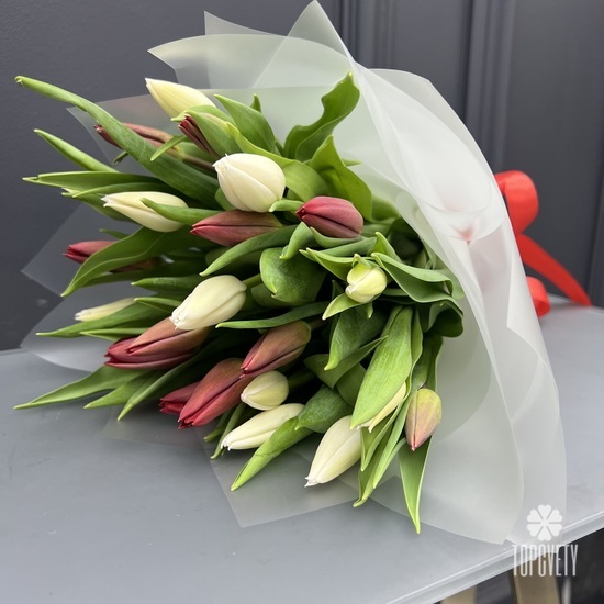 Букет из 25  белых и красных тюльпанов