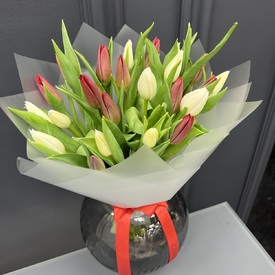 Букет из 25  белых и красных тюльпанов