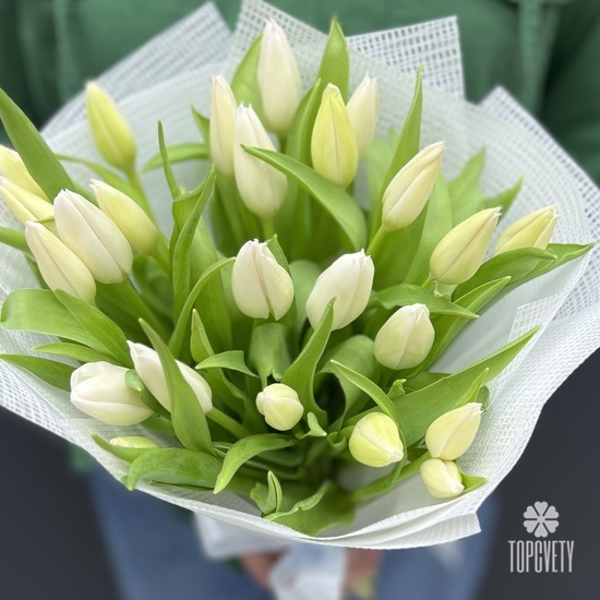 Букет из 25 белых тюльпанов