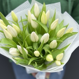 Букет из 25 белых тюльпанов