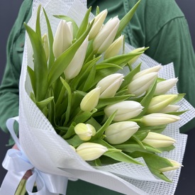 Букет из 25 белых тюльпанов