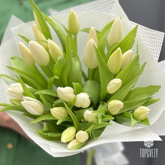 Букет из 25 белых тюльпанов