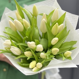 Букет из 25 белых тюльпанов